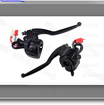 Handle Switch Assy Motorcycle Parts for BAJAJ CT 100