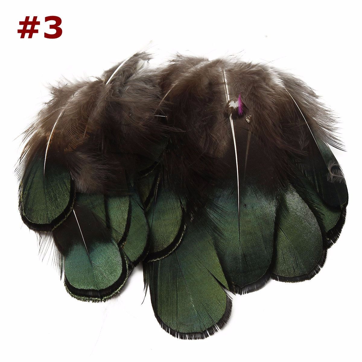 Beautiful rooster tail pheasant neck feathers 6-8inch Stationery 5 Colors 20pcs/Set Crafts NO.03 - 3 2-3 inch