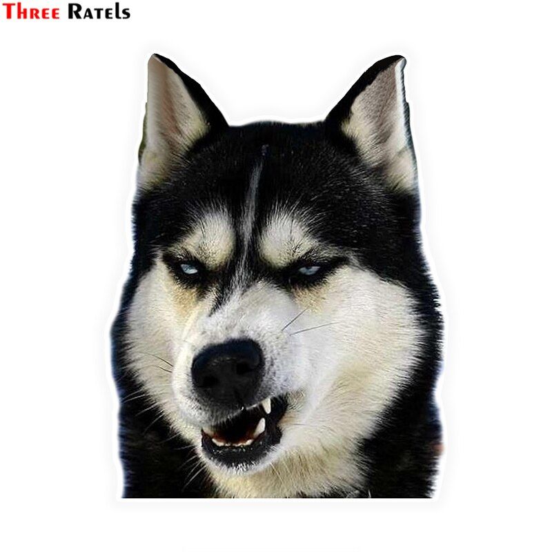 Three Ratels LCS445# 11.4x15cm Husky car stickers funny car stickers styling removable decal