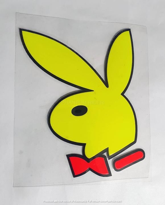 Playboy Sticker for Bike Bike Apache/Yamaha/Honda/Suzu.ki Decoration Gift
