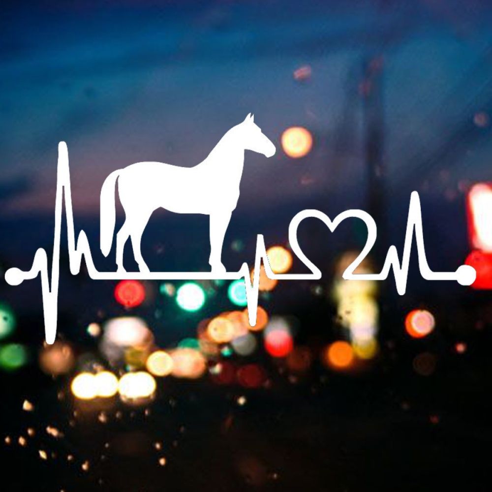 Serviceable Horse With Cartoon Electrocardiogram Car Window Bumper PVC Decal Truck Sticker