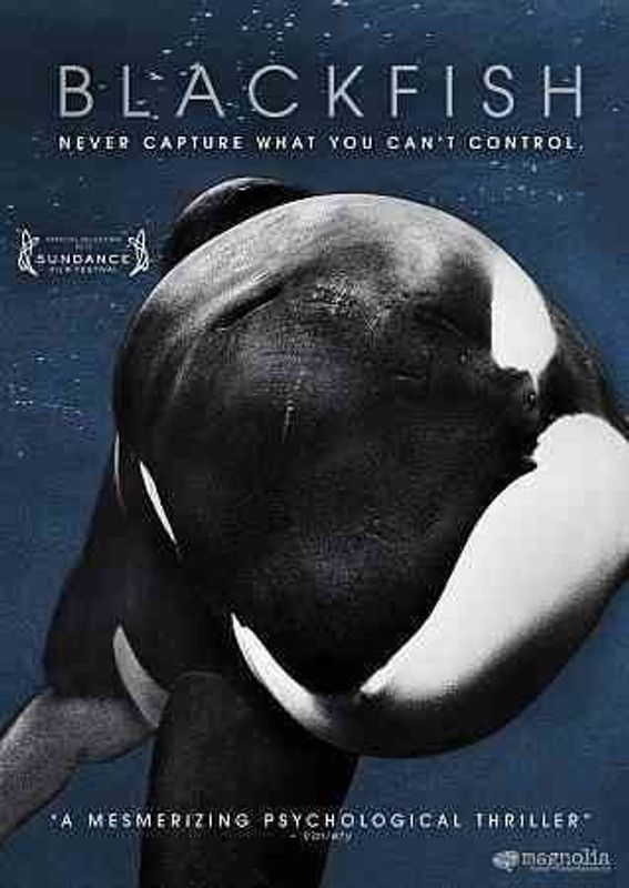 BLACKFISH  (DVD English)