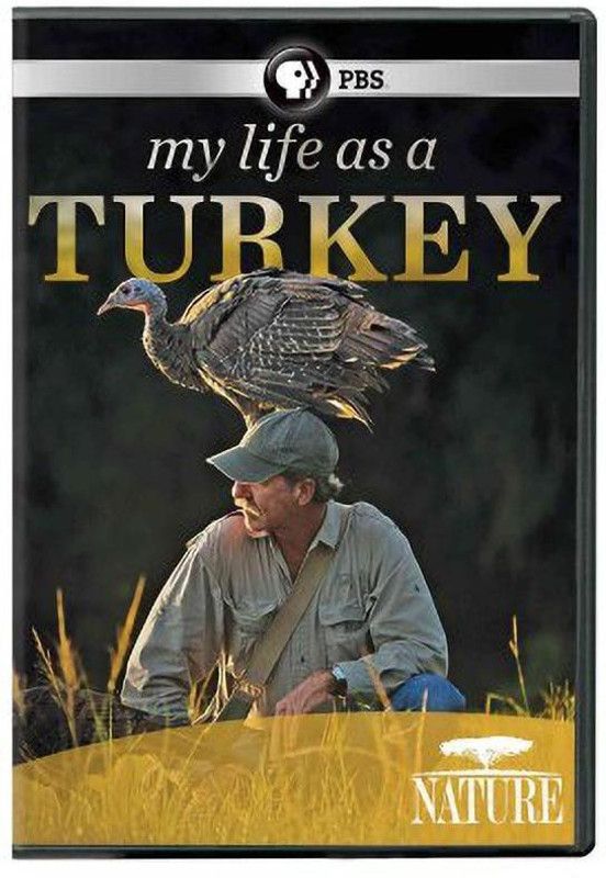 NATURE:MY LIFE AS A TURKEY  (DVD English)