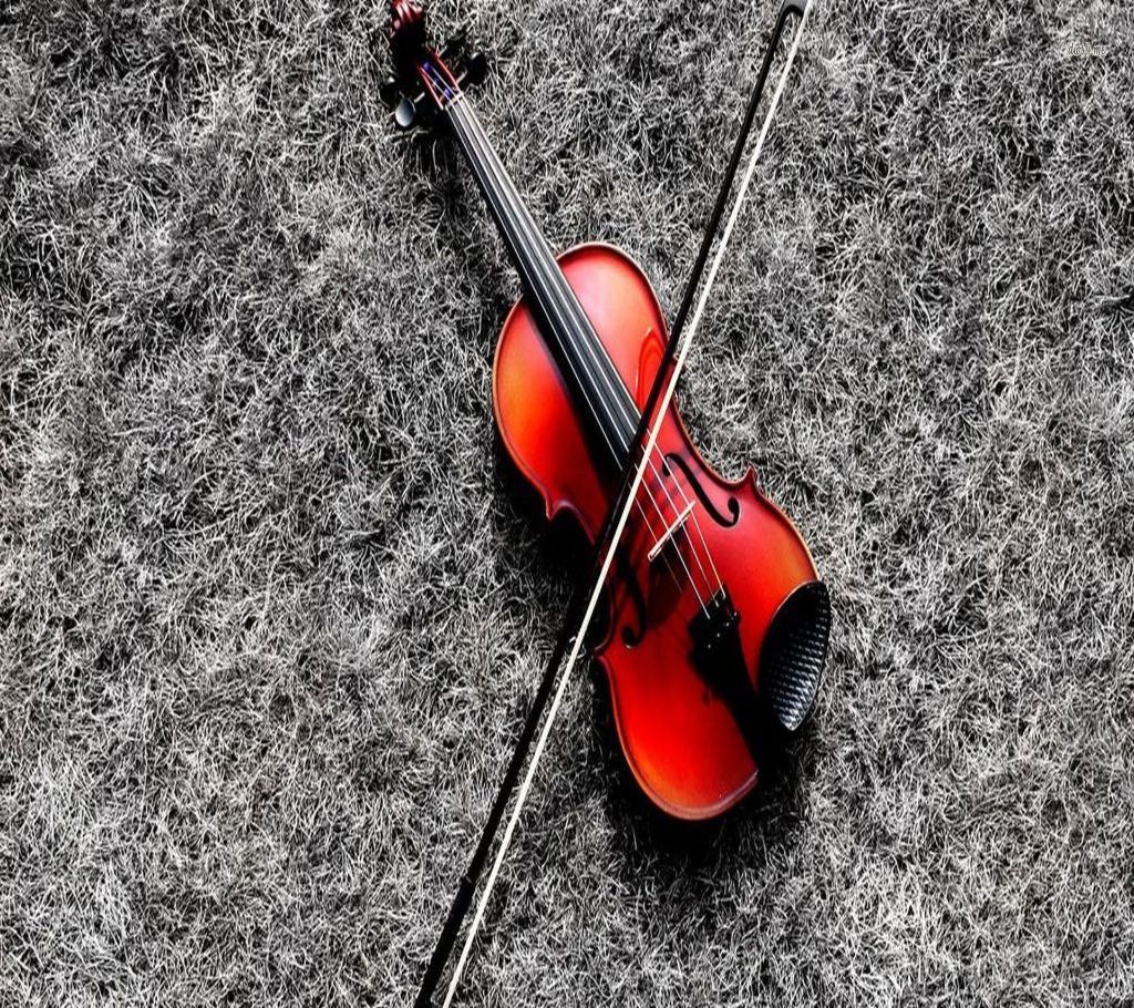  Indian Violin