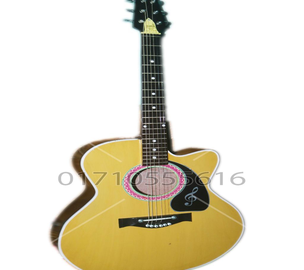 Electric system acoustic guitar
