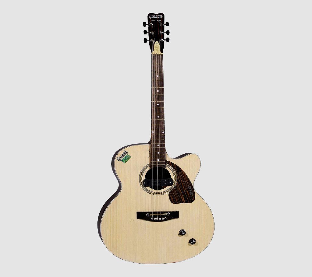 Givson Venus Rose guitar