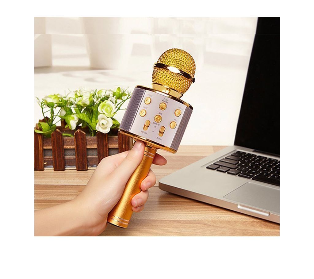 wireless microphone speaker-Golden