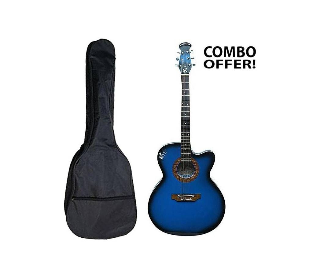 Acoustic Signature guitar