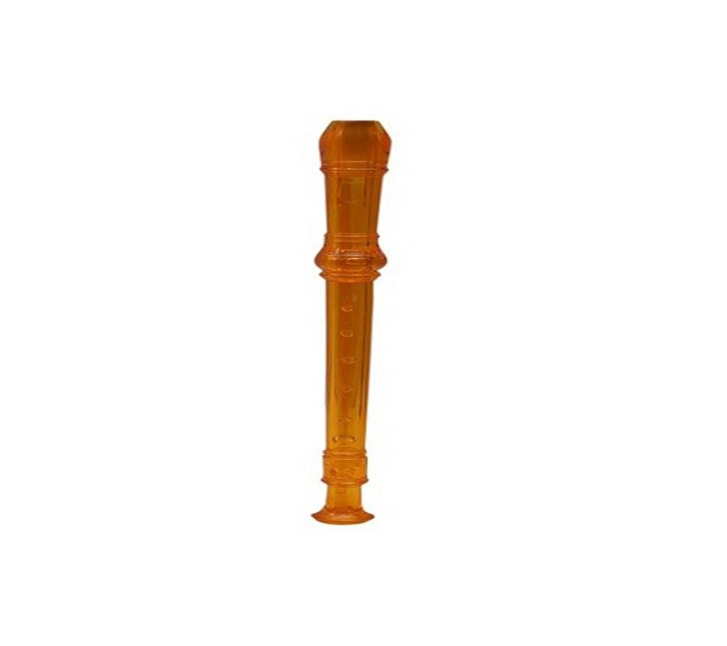Recorder With Cleaning Rod