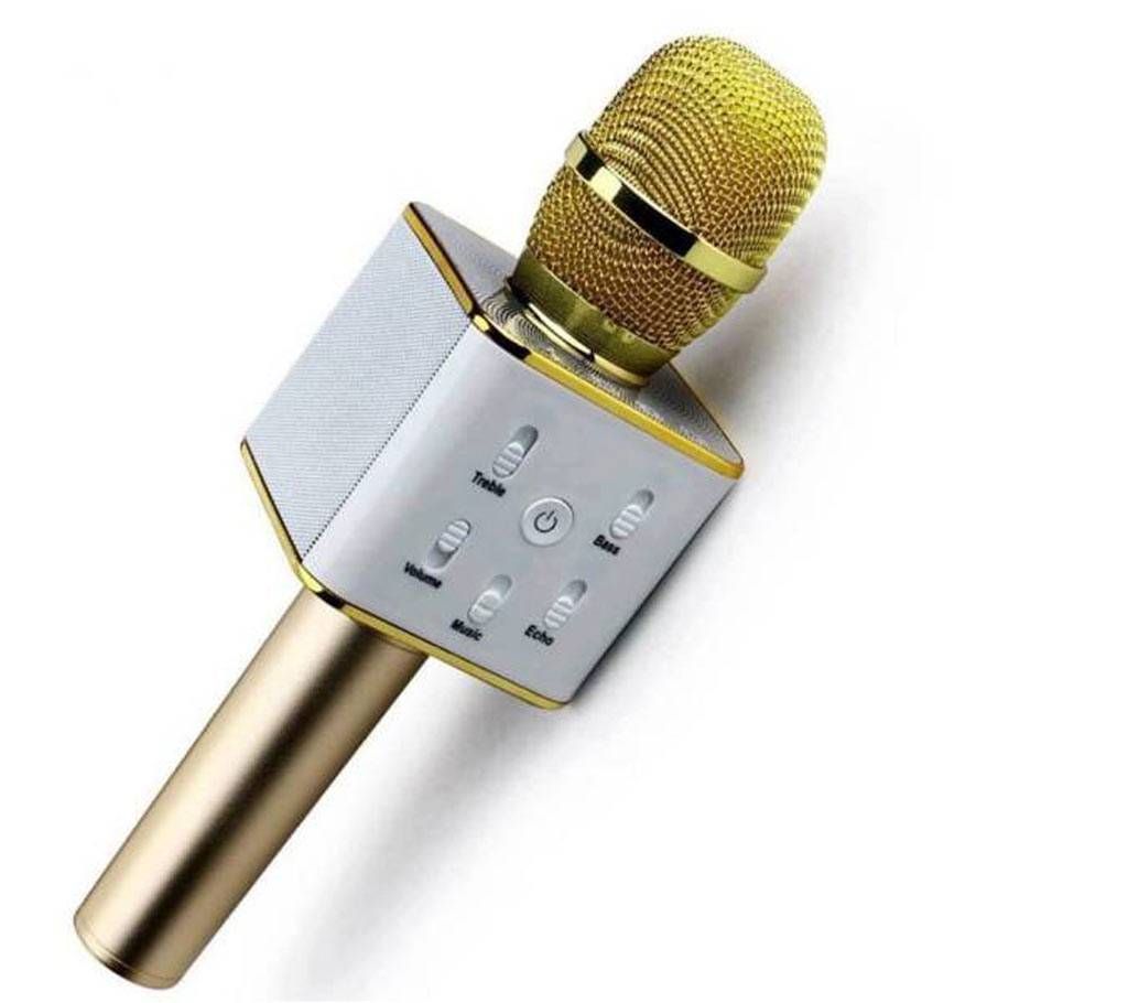Bluetooth Karaoke 