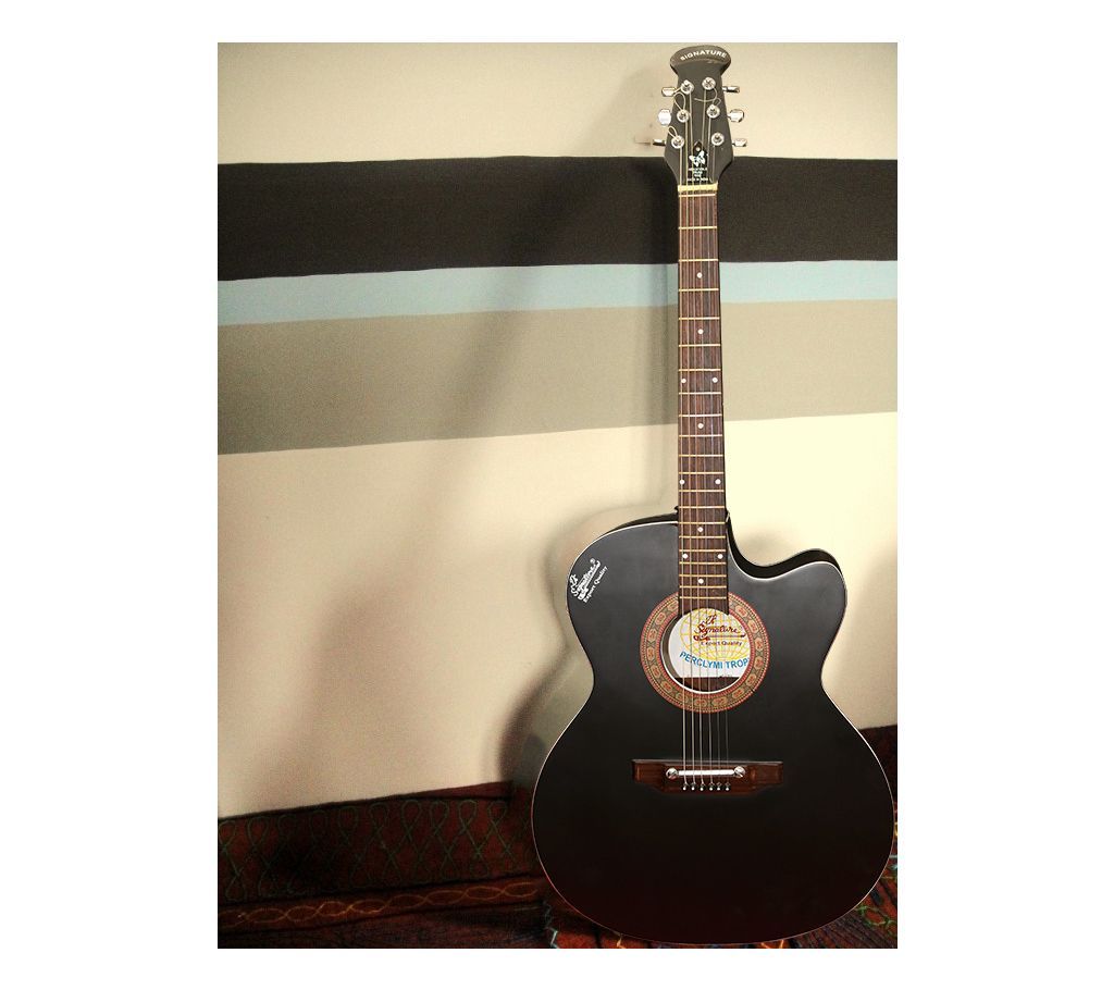 Indian signature guitar with bang picks