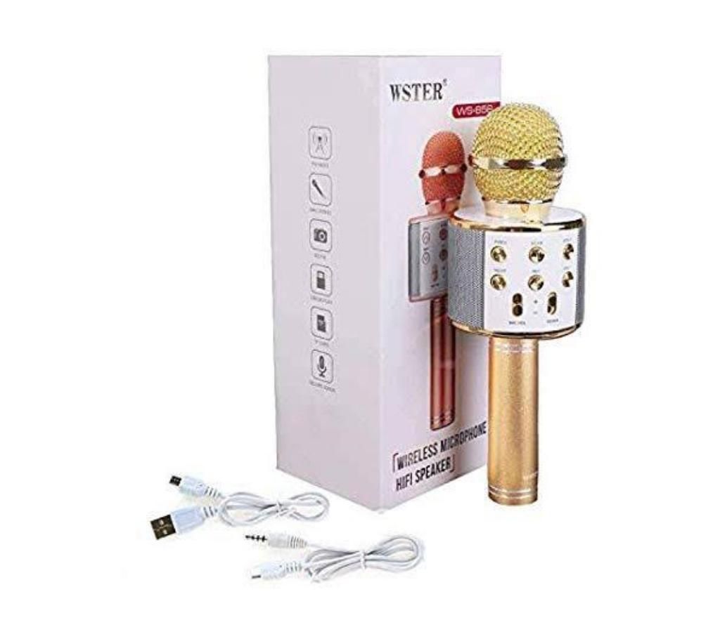 HIFI MICROPHONE
