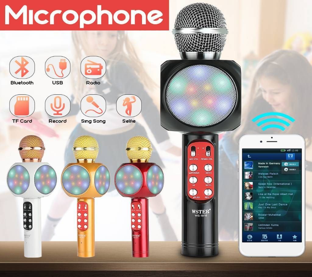 WS-1816karko microphone 1pc