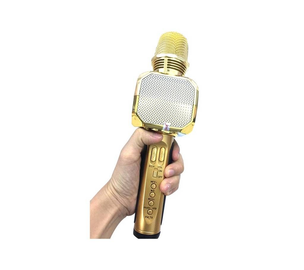 Bluetooth Microphone SD-10L karaoke LED Light Removable Battery