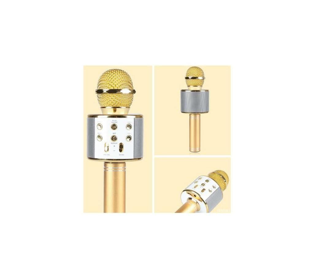 WS-858 Karaoke microphone