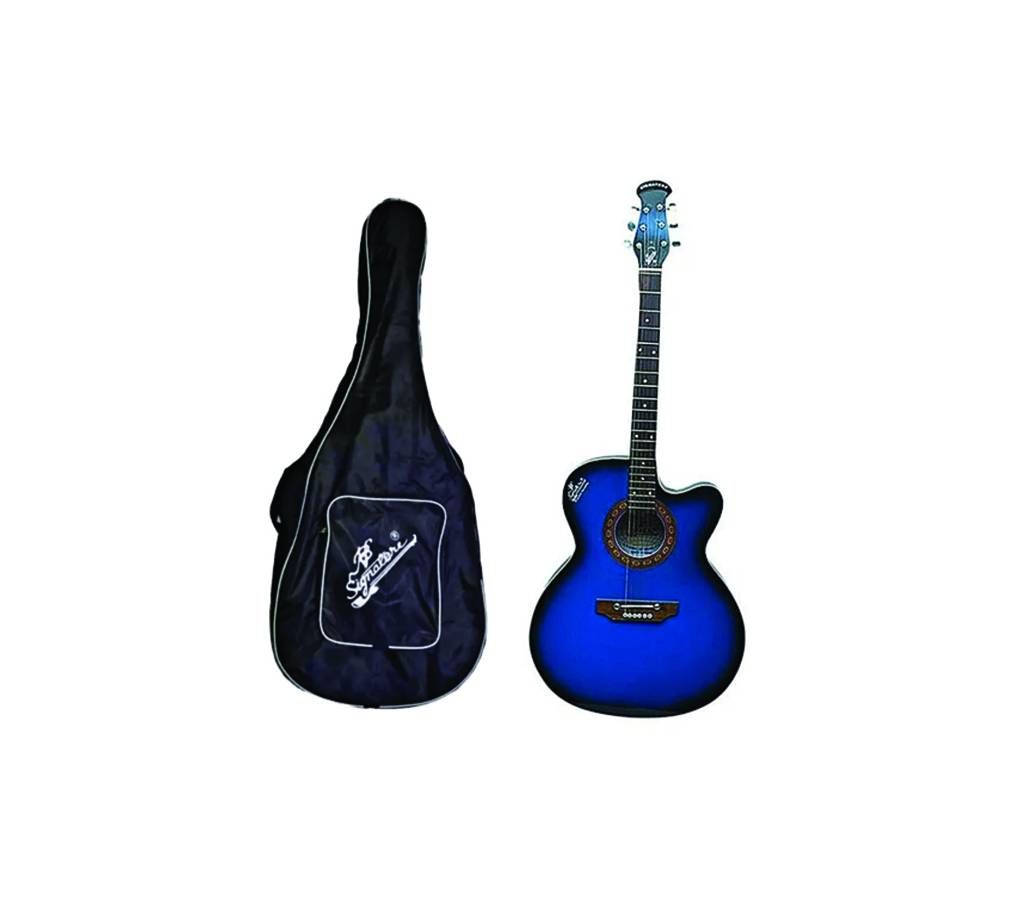 signature Indian acoustic guitar