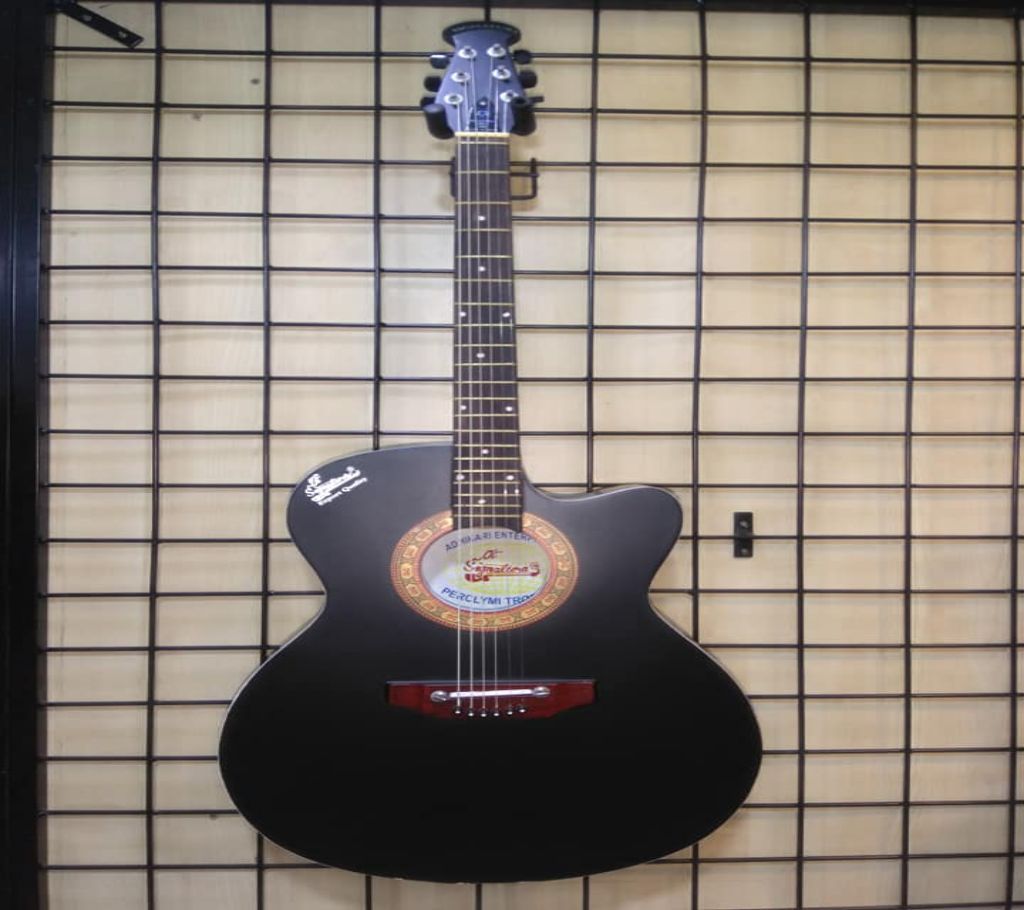 Signature 265 Guitar