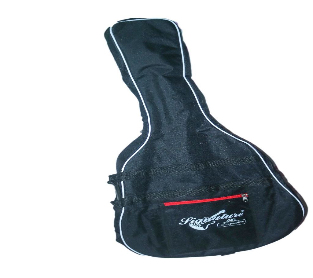 new acoustic guitar bag