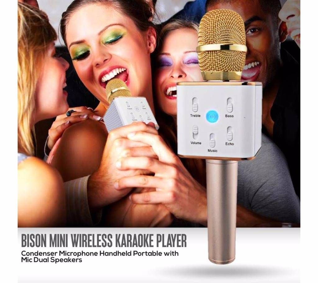 Karaoke Microphone