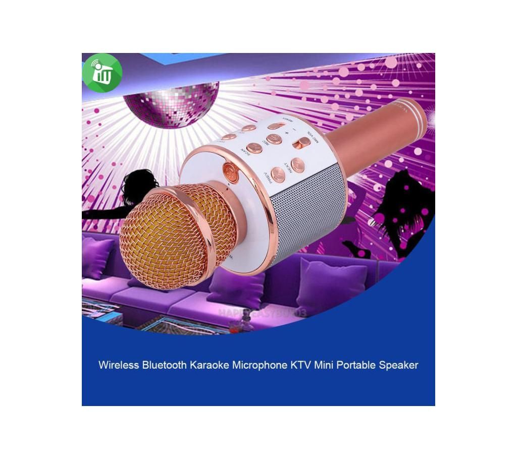 Wireless Karaoke microphones 