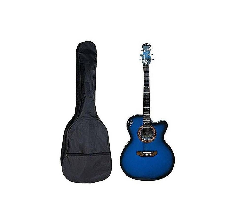 Combo Offer Signature Semi-Electric Acoustic Guitar - Blue