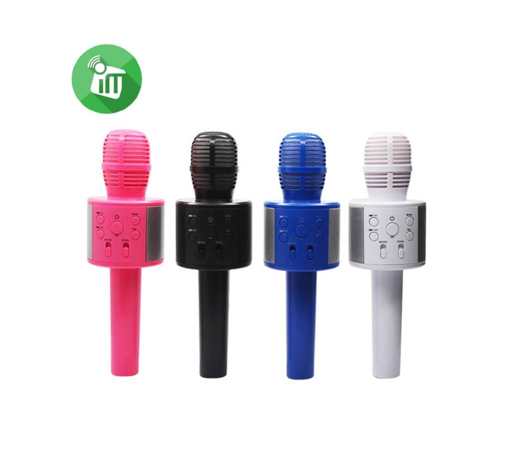 Wireless Karaoke Q858 - Bluetooth KTV HIFI Speaker