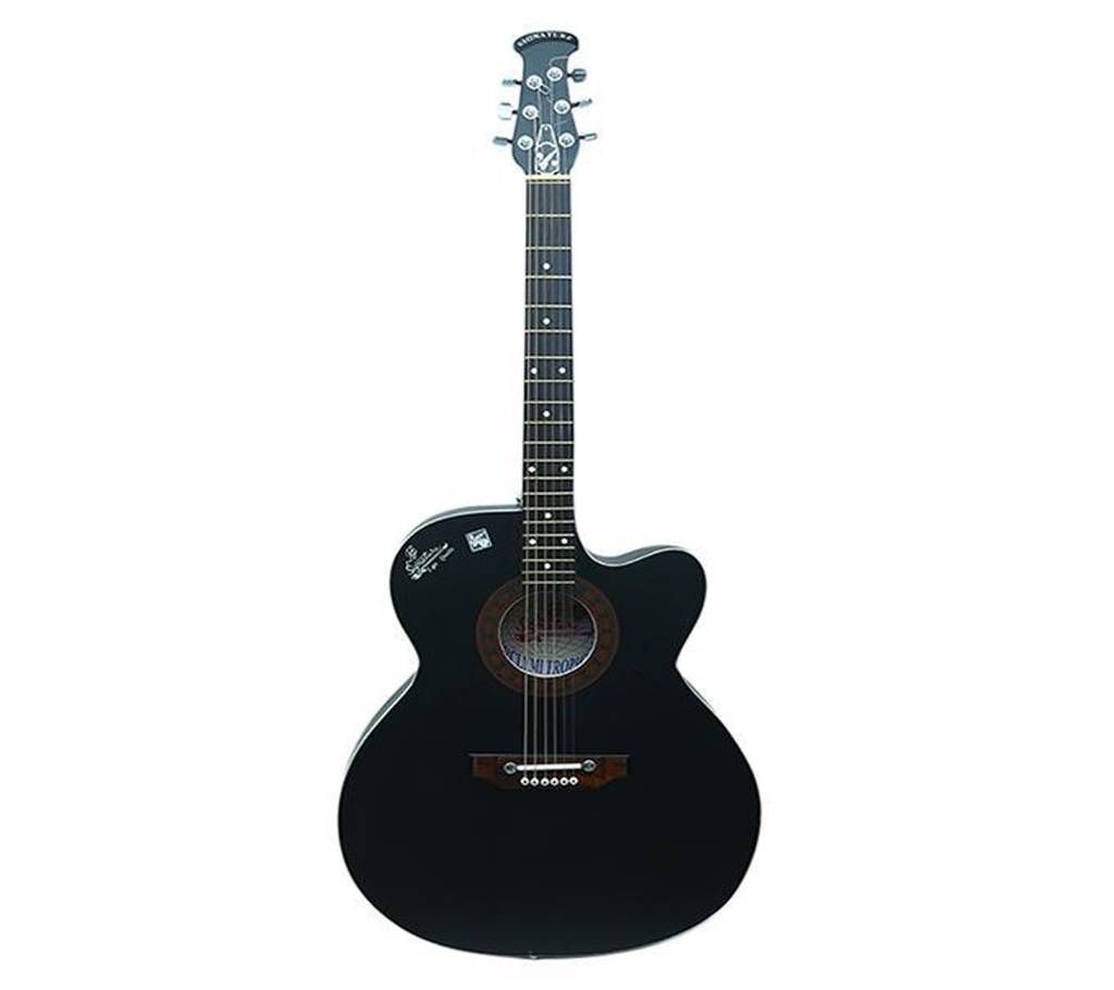 Semi-Electric Signature Guitar - Black