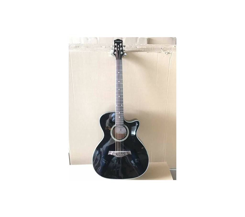 Custom_Guitar