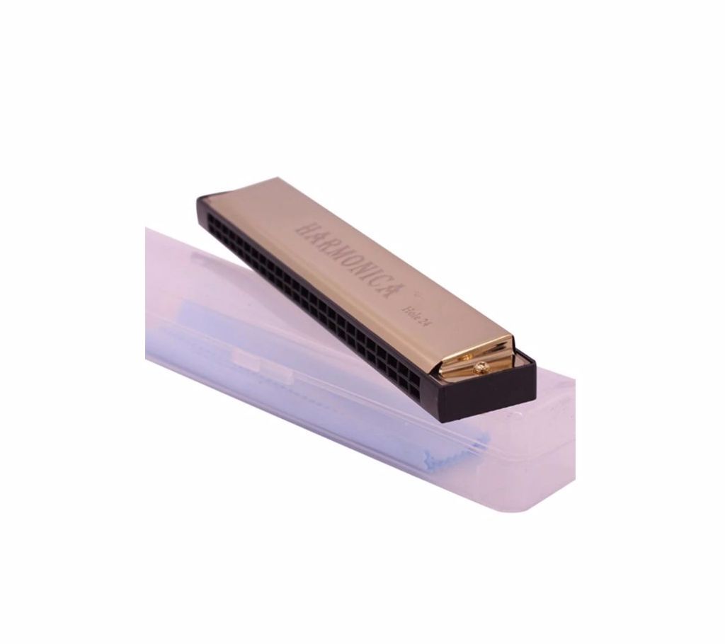 24 Hole C Tone Rock Musical Instrument Harmonica