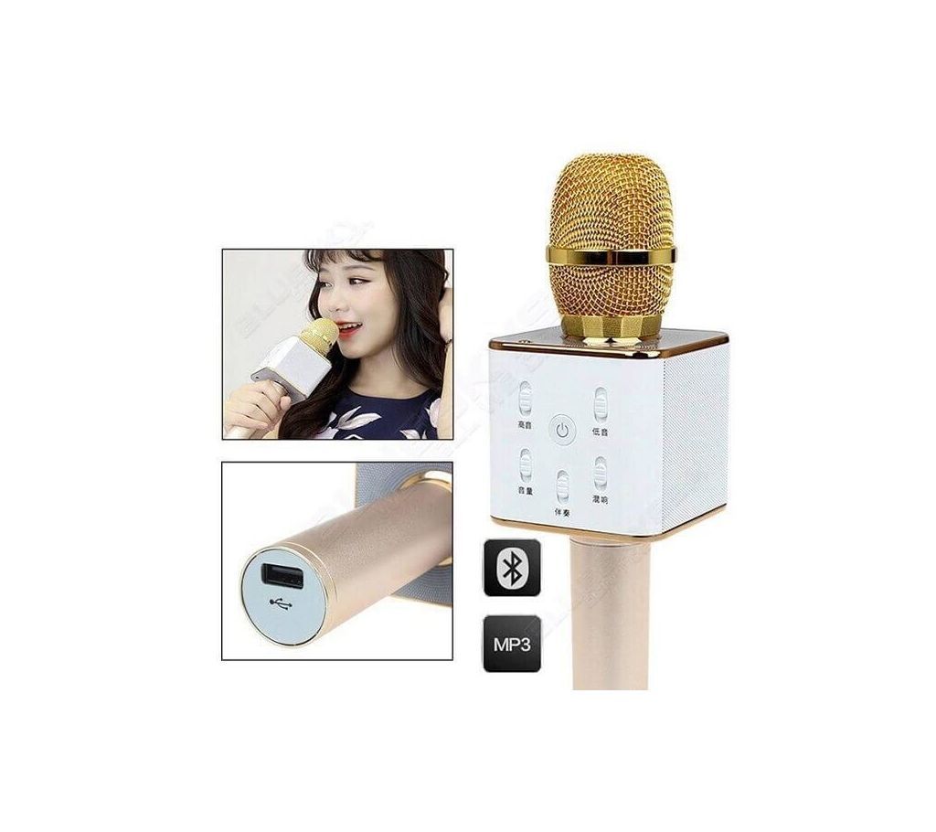 Microphone Speaker