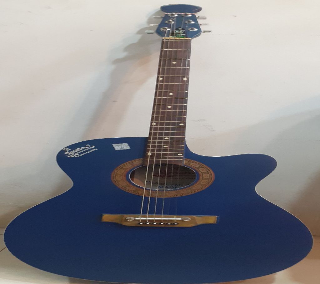 Indian Signature Guitar