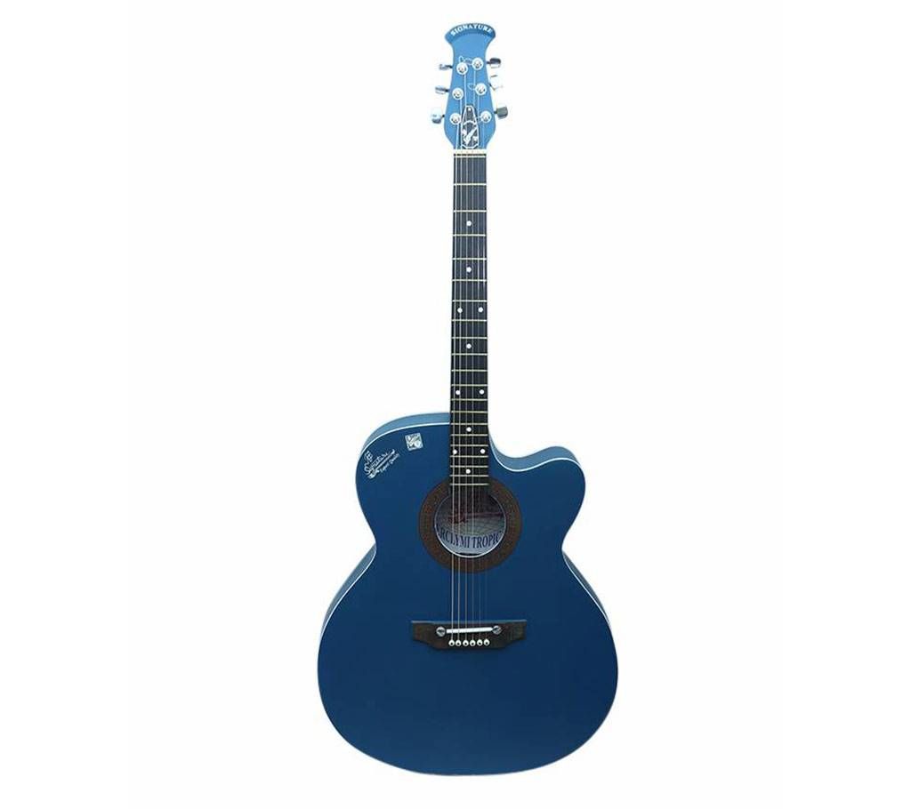 Signature Blue Acoustic Guitar