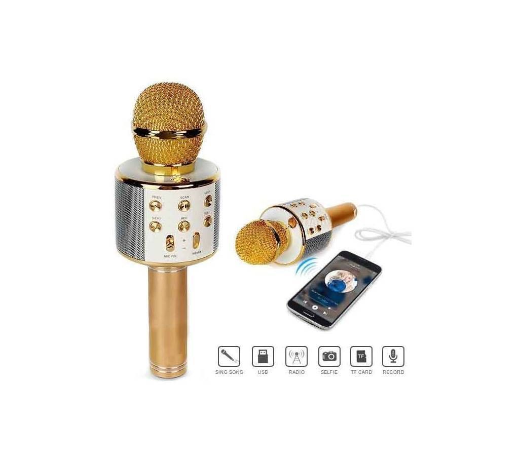 Karaoke Round Microphone