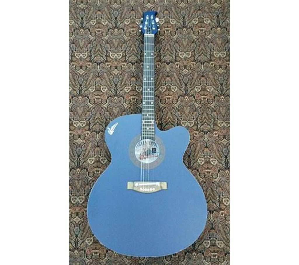 signature blue matte acoustic guitar 