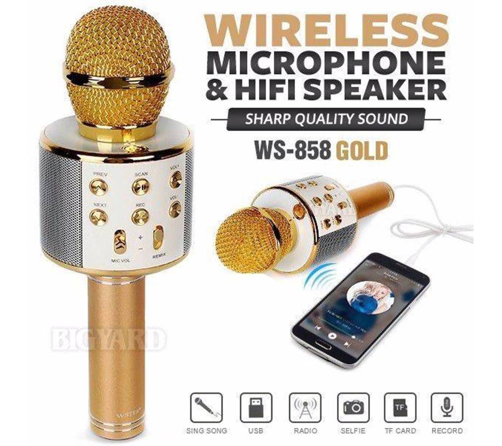WS-858 Wireless Karaoke Microphone