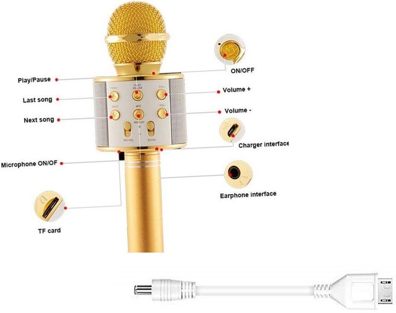 Y2H Enterprises A361_ws858 LATEST Wireless Mic With Inbuild Speaker Color May VARY (PACK OF 1) Microphone