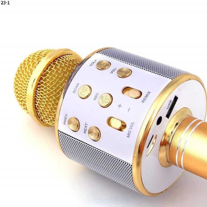 Jocoto AR435(WS858) PLUS WIRLESS Handheld MIC& SPEAKERCOLOR MAY VARY(PACK OF 1) Microphone