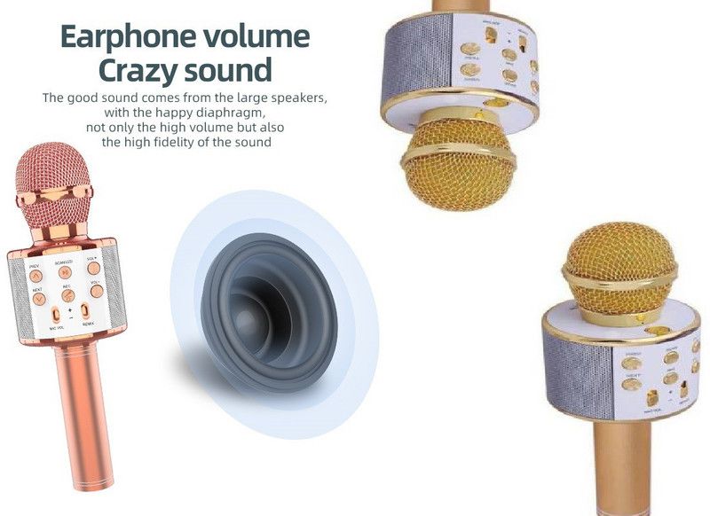 jorugo L281_WS858 Pro Wireless Mic With Speaker For Singing Color May vary (Pack of 1) Microphone