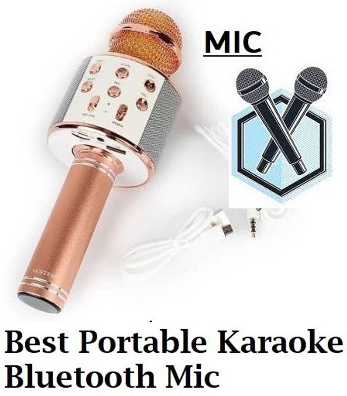 Y2H Enterprises Q173 (Ws858) Pro Wireless Mic HanQhelQ Color May Vary (Pack of 1) Microphone