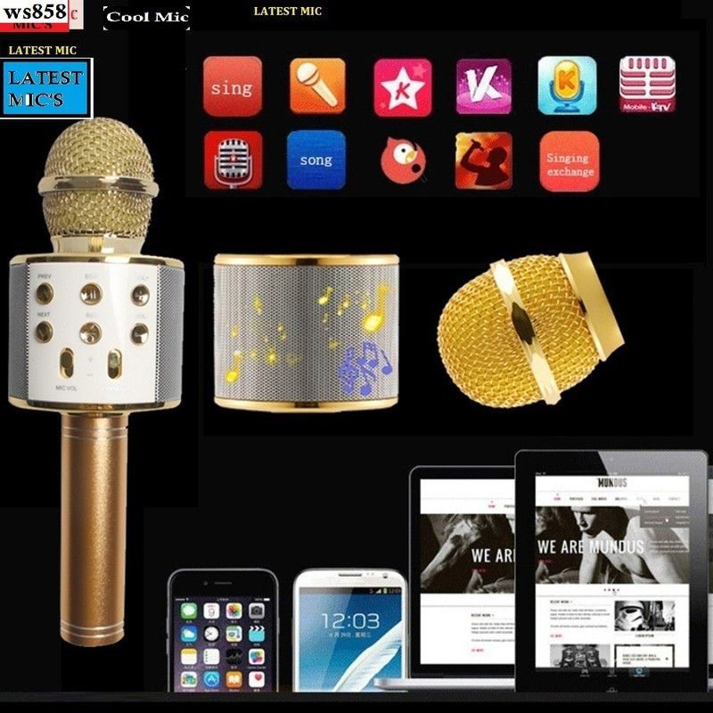 Bashaam S452 PRO WS858MICROPHONE Handheld MIC& SPEAKER COLOR MAY VARY (PACK OF 1) Microphone