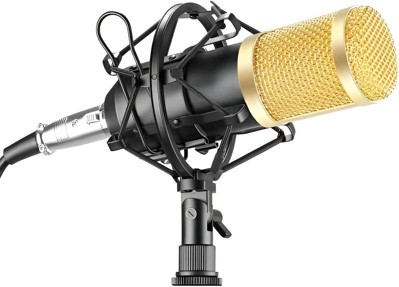 RODZ Gaming Podcast Live Streaming YouTube Recording Microphone Microphone