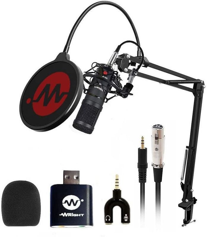 wright WR 800 Professional Studio Condenser Microphone for singing and Voice Recording Microphone