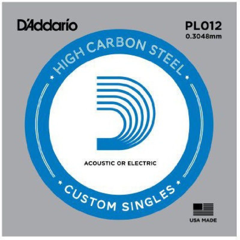 D'ADDARIO Acoustic /Electric 2 pieces Plain Steel .012 PL012 Guitar String  (2 Strings)