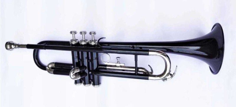 ARB Professional Black/Silver Bb Trumpet  (Yes)