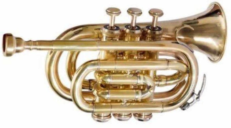 ARB Professional Gold P-001 Pocket Trumpet  (Yes)