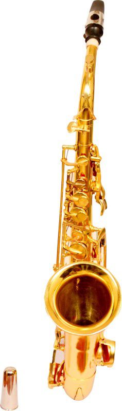 SKYLARK INTERNATIONAL SEXPHONEGLD01 SEXPHONEGLD01 Alto Saxophone  (gold, Sax Case Included)
