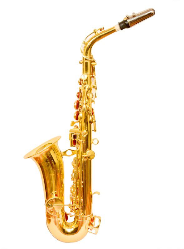 SKYLARK INTERNATIONAL SEXPHNGLD004 SEXPHNGLD004 Alto Saxophone  (GOLD, Sax Case Included)