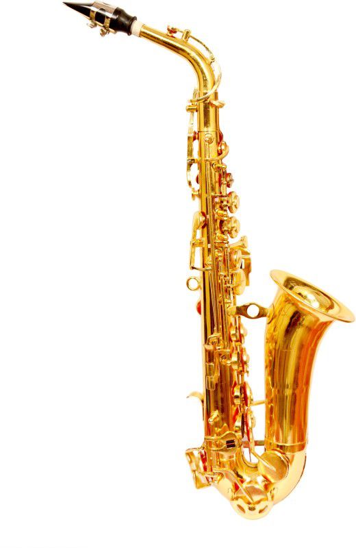 SKYLARK INTERNATIONAL SKYSXPHN SKYSXPHN Alto Saxophone  (BRASS POLISH, Sax Case Included)
