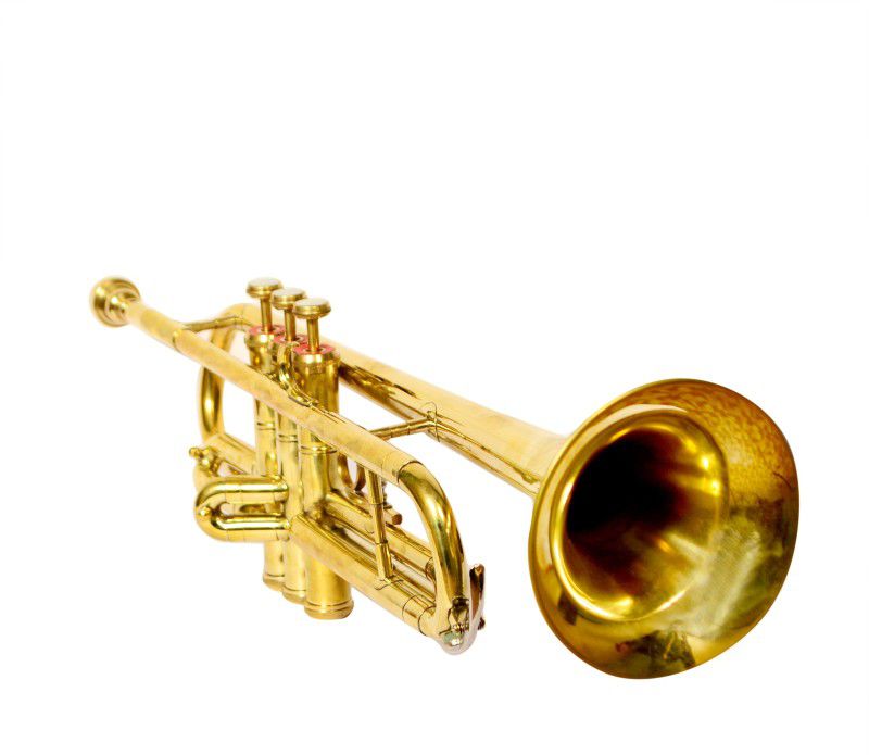 SKYLARK INTERNATIONAL TRMSLGLD01 Bb Trumpet  (BRASS)