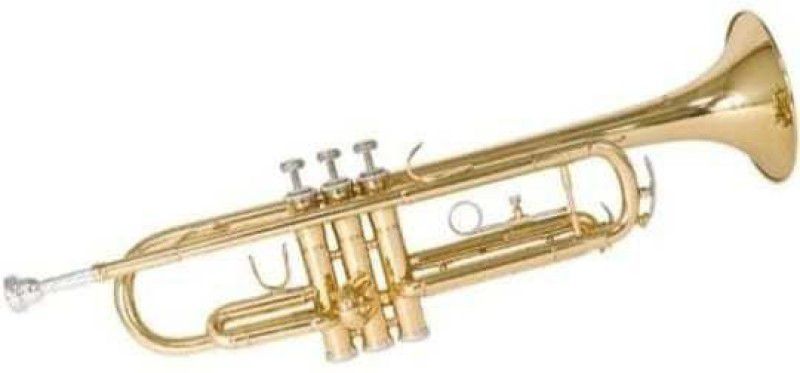 Rmze Professional Gold/Silver-T-2 Bb Trumpet  (Brass)